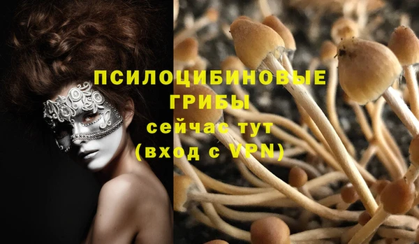 марки lsd Бородино