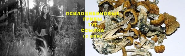 бутират Бронницы