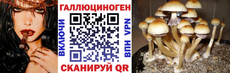 Галлюциногенные грибы прущие грибы Когалым